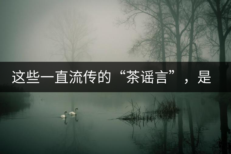 這些一直流傳的“茶謠言”，是時(shí)候知道真相了