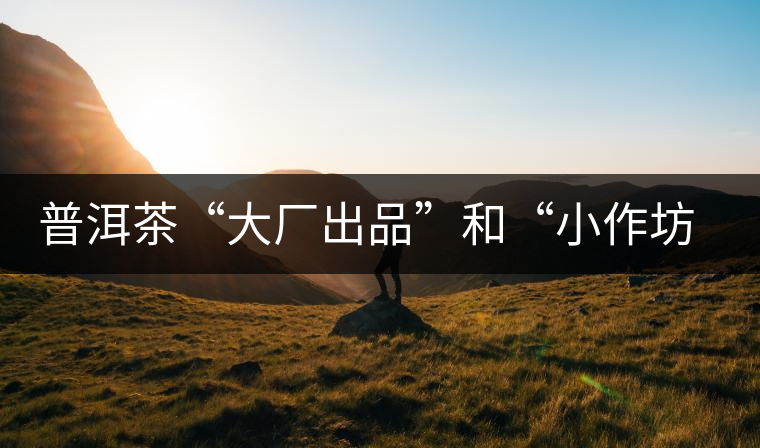 普洱茶“大廠出品”和“小作坊”，哪一個更值得購買？