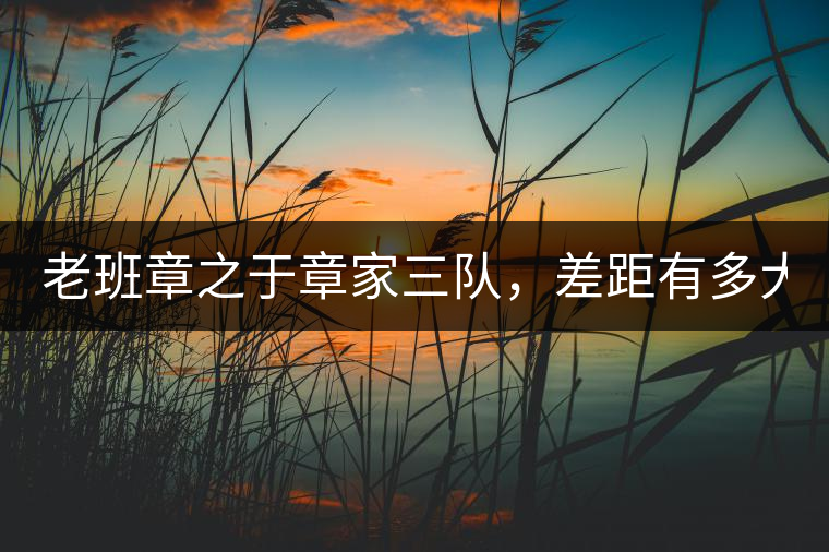 老班章之于章家三隊(duì)，差距有多大？