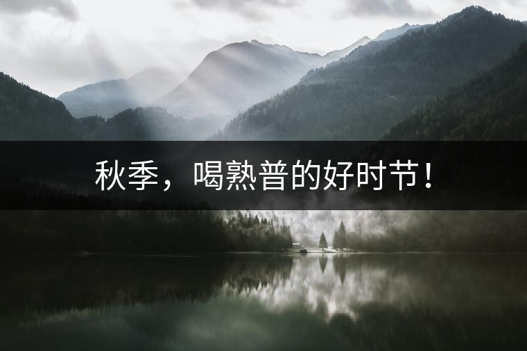 秋季，喝熟普的好時節(jié)！