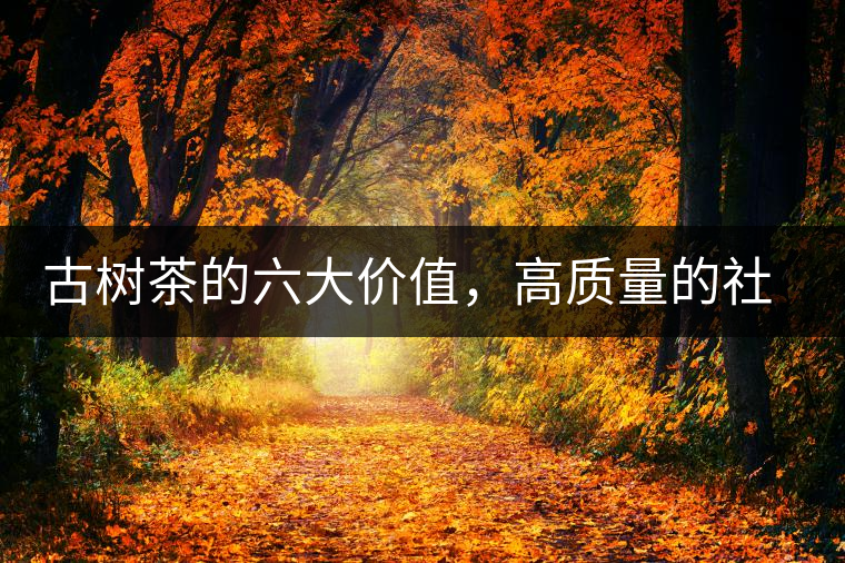 古樹茶的六大價值，高質(zhì)量的社交都離不開古樹茶