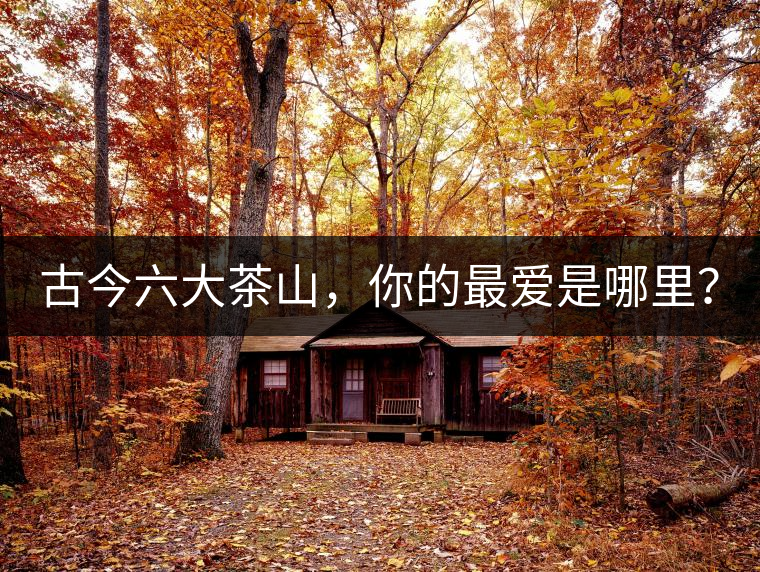 古今六大茶山，你的最愛是哪里？