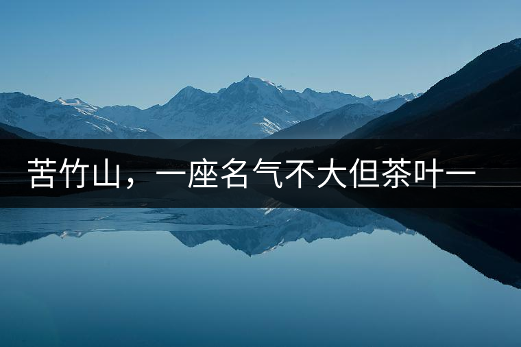 苦竹山，一座名氣不大但茶葉一流的古茶山