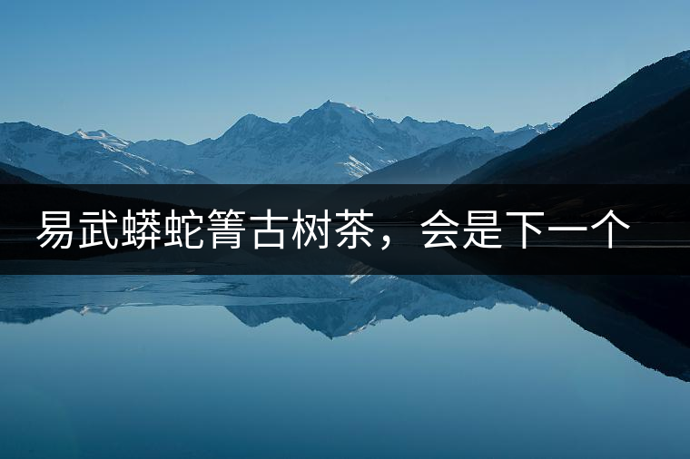 易武蟒蛇箐古樹茶，會是下一個銅箐河嗎？