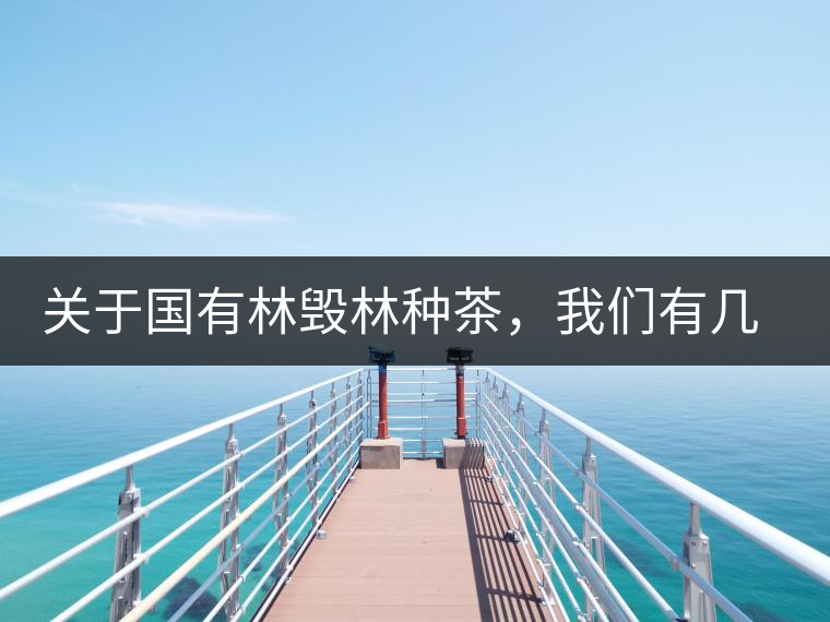 關于國有林毀林種茶，我們有幾點不得不說