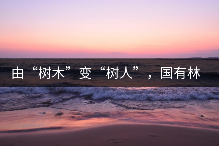 由“樹木”變“樹人”，國有林普洱茶為什么越來越受歡迎？