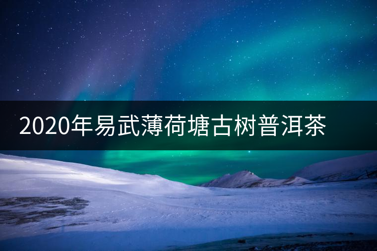 2020年易武薄荷塘古樹普洱茶特點，價格又上漲了嗎？