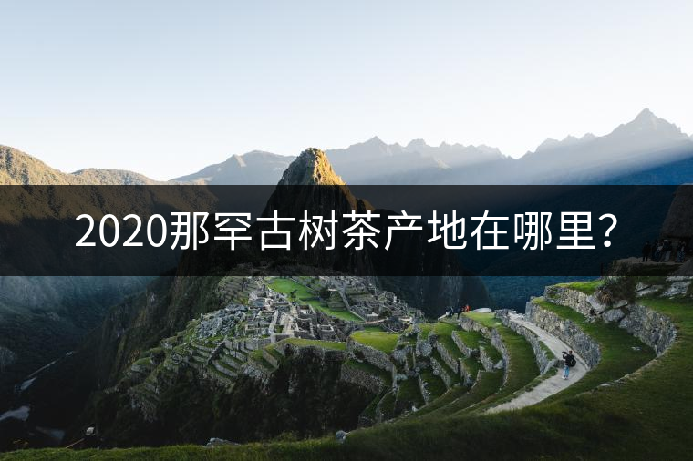 2020那罕古樹茶產(chǎn)地在哪里？