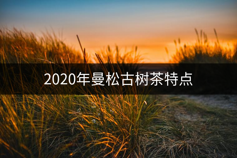 2020年曼松古樹茶特點(diǎn)