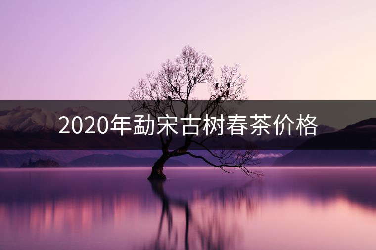 2020年勐宋古樹春茶價格