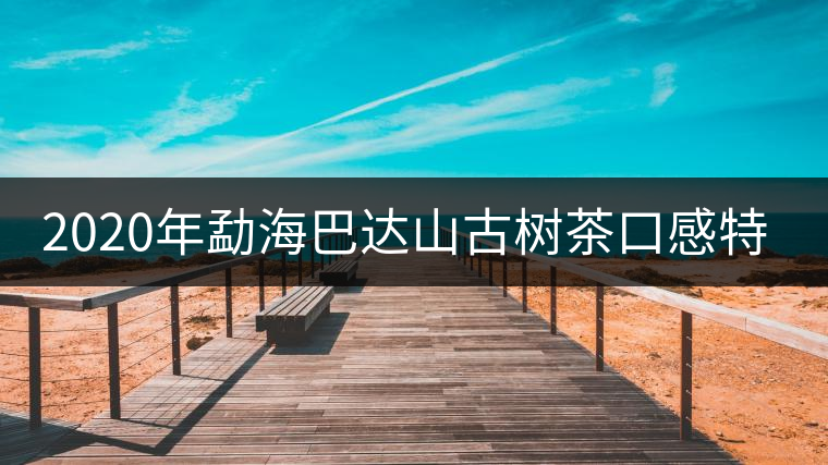 2020年勐海巴達山古樹茶口感特點