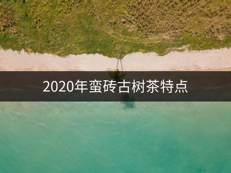 2020年蠻磚古樹(shù)茶特點(diǎn) 2020年蠻磚古樹(shù)茶特點(diǎn)