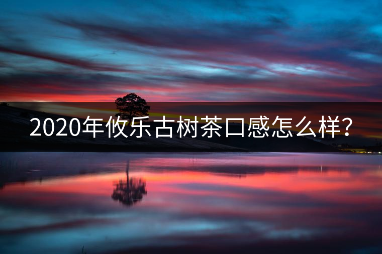 2020年攸樂古樹茶口感怎么樣？