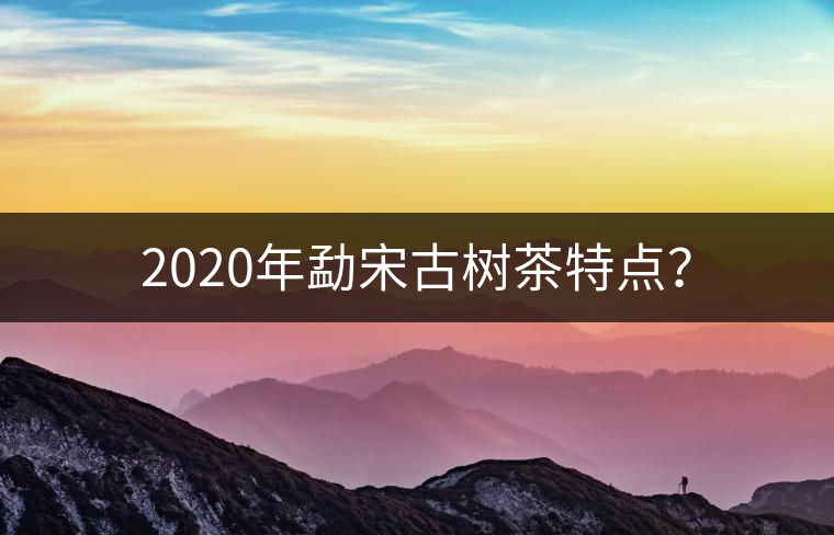 2020年勐宋古樹(shù)茶特點(diǎn)？