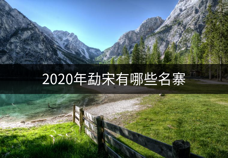 2020年勐宋有哪些名寨