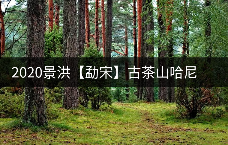 2020景洪【勐宋】古茶山哈尼年“嘎湯帕”圓滿(mǎn)結(jié)束，我們明年見(jiàn)