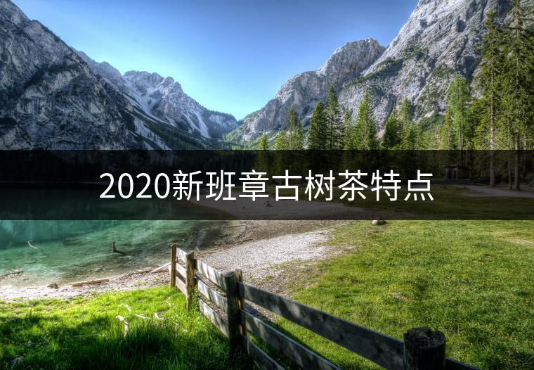 2020新班章古樹茶特點(diǎn)