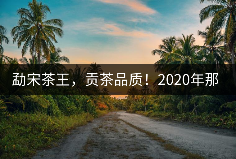 勐宋茶王，貢茶品質(zhì)！2020年那卡古樹(shù)青餅悠然而至！