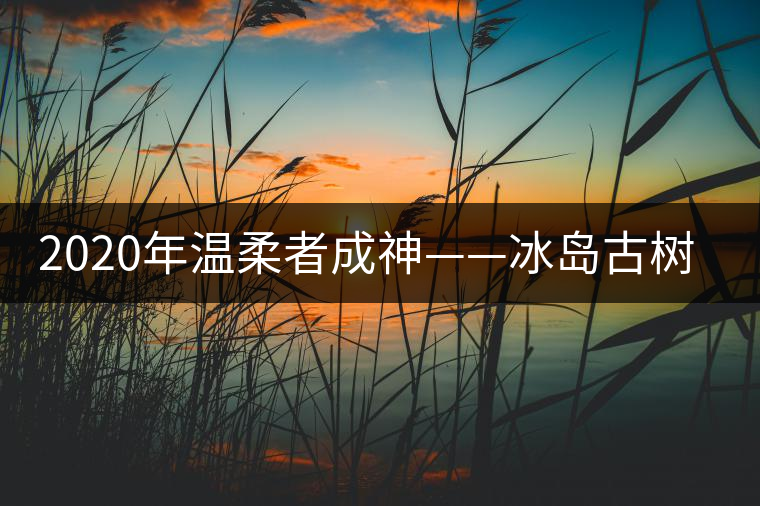 2020年溫柔者成神——冰島古樹茶（上）