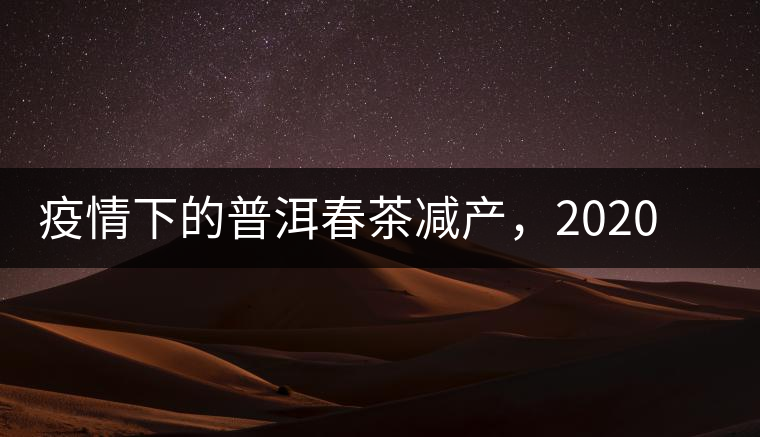 疫情下的普洱春茶減產(chǎn)，2020年價格“兩極分化”或成常態(tài)？