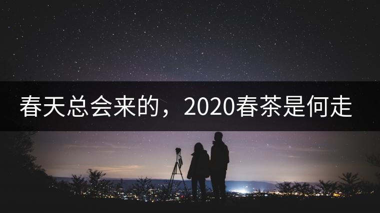 春天總會來的，2020春茶是何走勢？