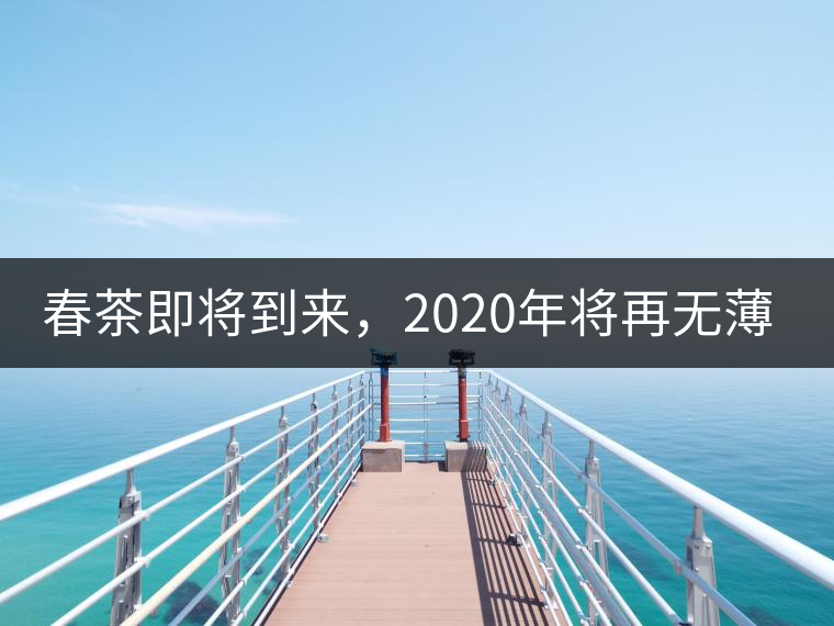春茶即將到來，2020年將再無薄荷塘？