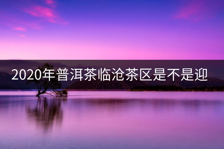 2020年普洱茶臨滄茶區(qū)是不是迎來最好機遇？