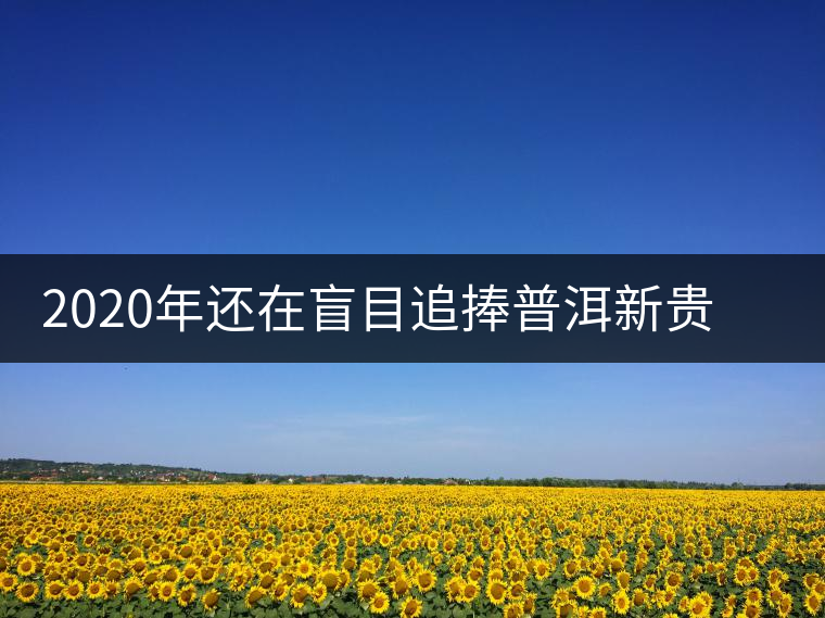 2020年還在盲目追捧普洱新貴“貓耳朵”？我們深入產(chǎn)區(qū)為你揭示最真實(shí)的“貓耳朵”！