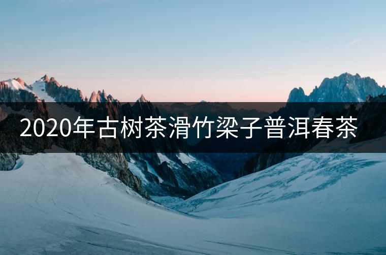 2020年古樹(shù)茶滑竹梁子普洱春茶價(jià)格
