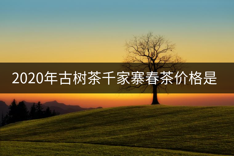 2020年古樹茶千家寨春茶價格是多少？