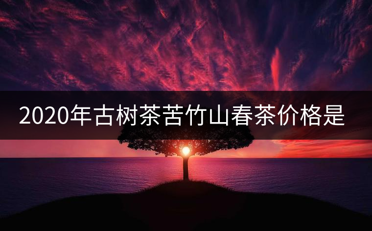 2020年古樹茶苦竹山春茶價(jià)格是多少？