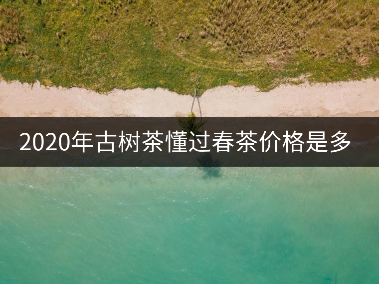 2020年古樹茶懂過春茶價(jià)格是多少？