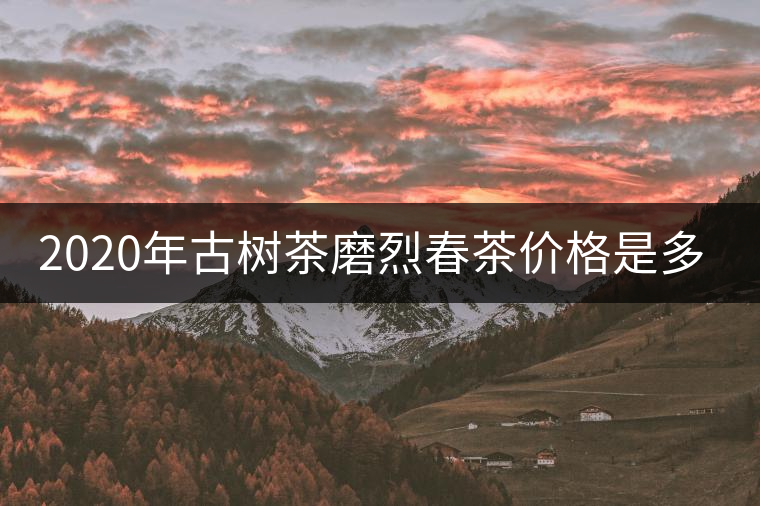 2020年古樹茶磨烈春茶價(jià)格是多少？