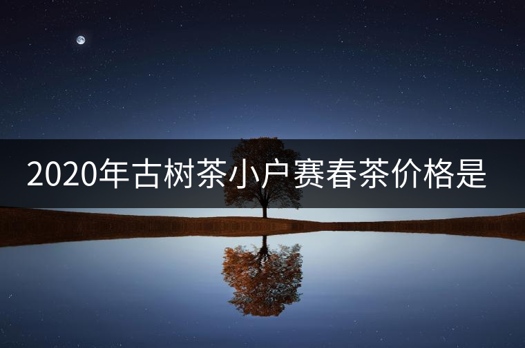 2020年古樹(shù)茶小戶賽春茶價(jià)格是多少？