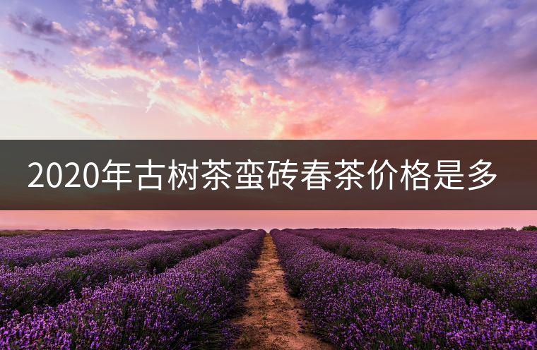 2020年古樹(shù)茶蠻磚春茶價(jià)格是多少？