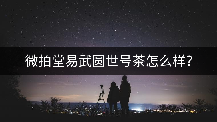 微拍堂易武圓世號茶怎么樣？