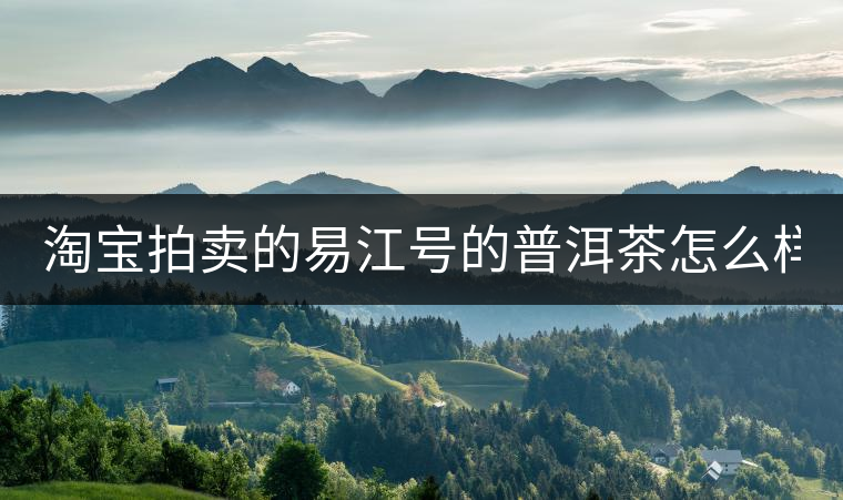 淘寶拍賣的易江號的普洱茶怎么樣？