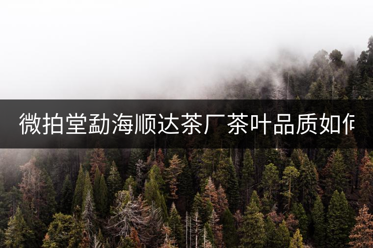 微拍堂勐海順達(dá)茶廠茶葉品質(zhì)如何？