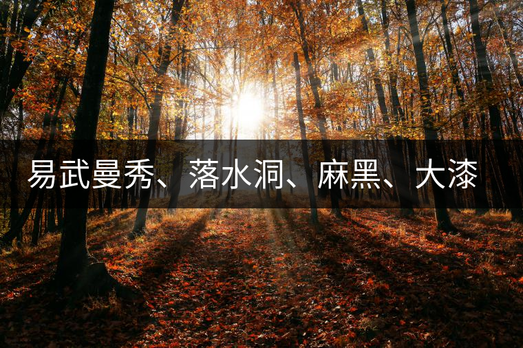易武曼秀、落水洞、麻黑、大漆樹等你更喜歡哪個(gè)茶？