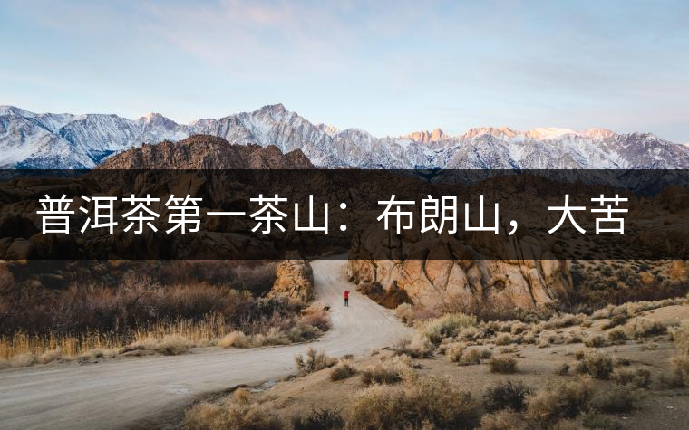 普洱茶第一茶山：布朗山，大苦大甘是它的魂