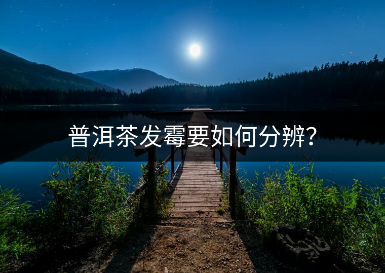 普洱茶發(fā)霉要如何分辨？