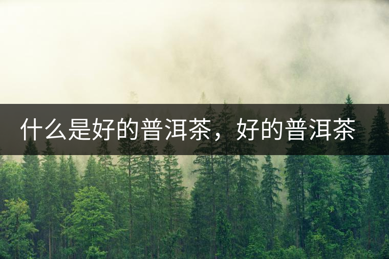 什么是好的普洱茶，好的普洱茶必須要有好的工藝！