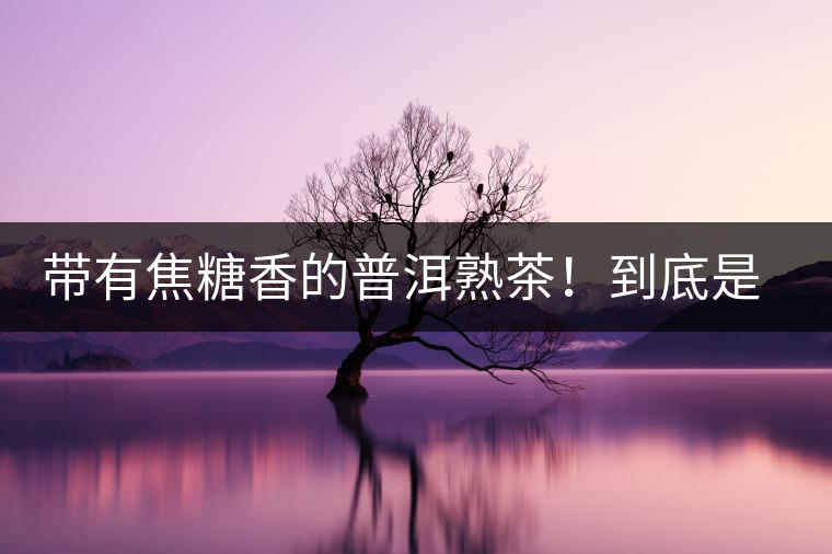 帶有焦糖香的普洱熟茶！到底是好是壞？