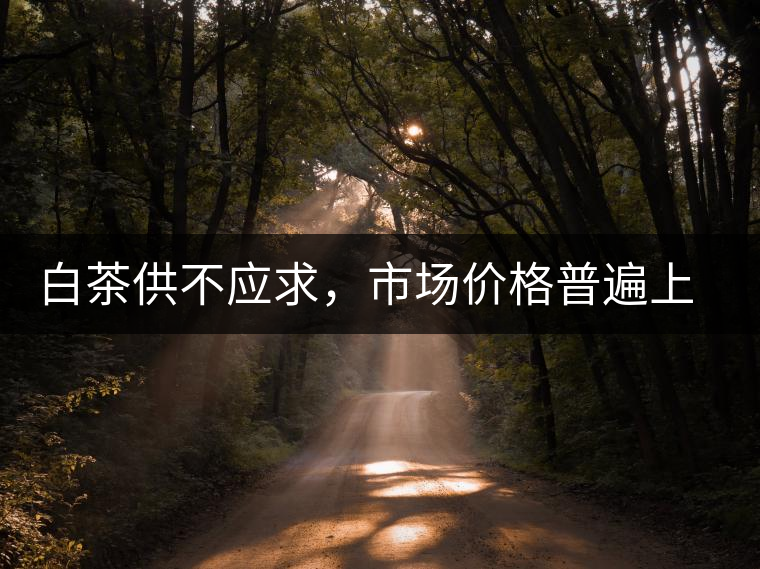 白茶供不應(yīng)求，市場(chǎng)價(jià)格普遍上漲？