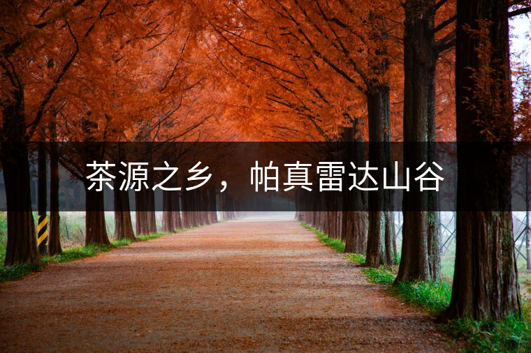 茶源之鄉(xiāng)，帕真雷達山谷