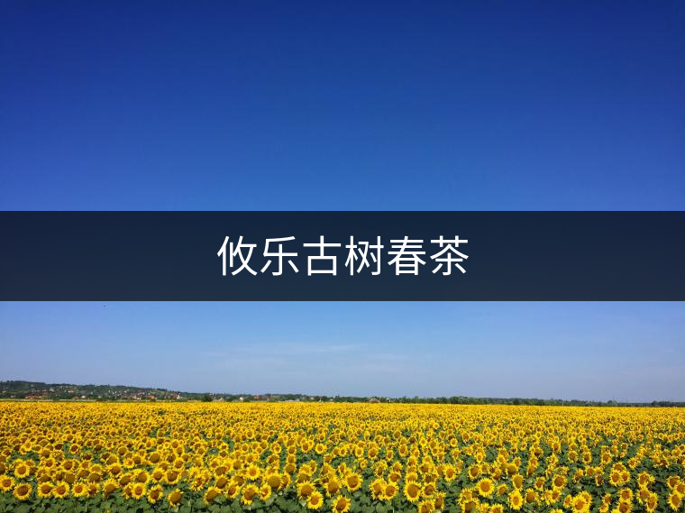攸樂(lè)古樹春茶