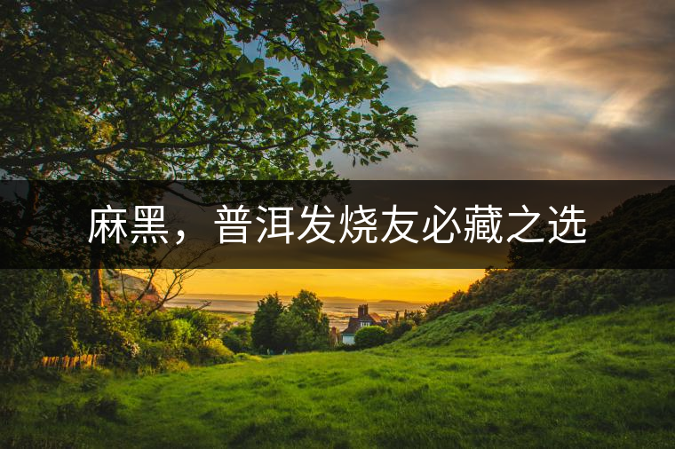 麻黑，普洱發(fā)燒友必藏之選