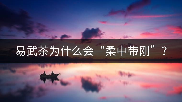 易武茶為什么會“柔中帶剛”？