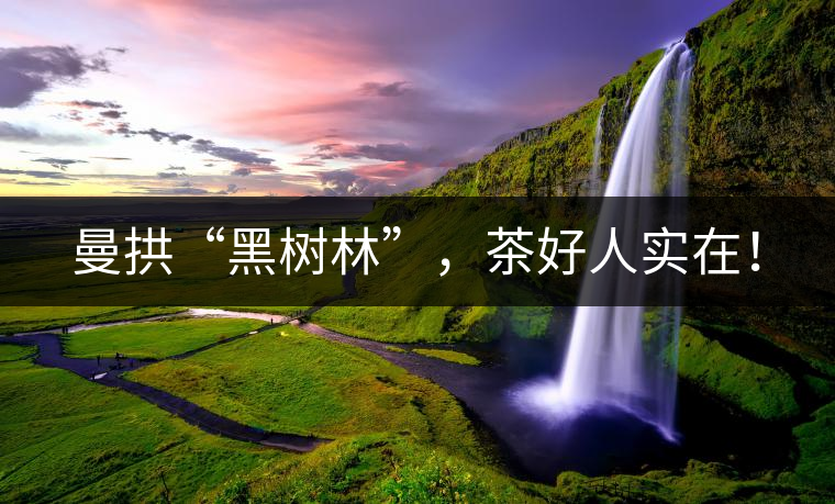 曼拱“黑樹(shù)林”，茶好人實(shí)在！