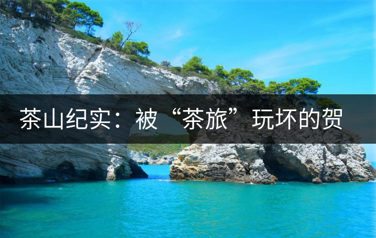 茶山紀(jì)實(shí)：被“茶旅”玩壞的賀開(kāi)古茶園